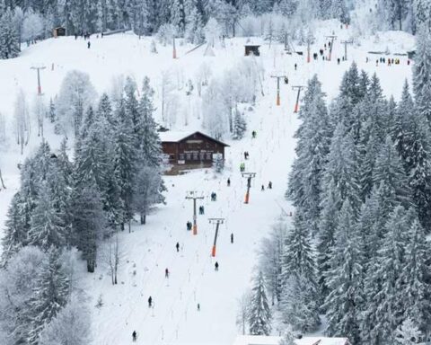 The importance of snow and the consequences of its scarcity