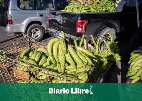 The price of bananas increases more than 80% in one year