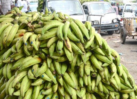 En precio del plátano influye la calidad y la procedencia