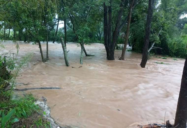 The rains overflow the rivers in the valleys of Santa Cruz and flood the eastern part of the department