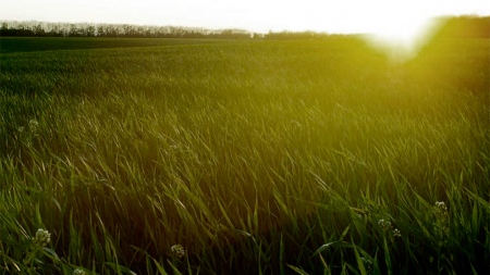 The rains relieved the field and will promote the completion of soybean and corn planting