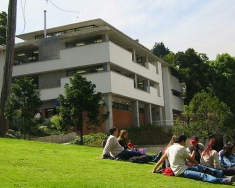 The university degrees that professionals regret having completed