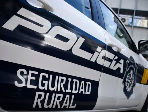 There were more cases of rustling and economic losses, but fewer affected animals