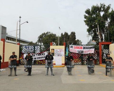 These are today's short films Sunday, January 22, 2023