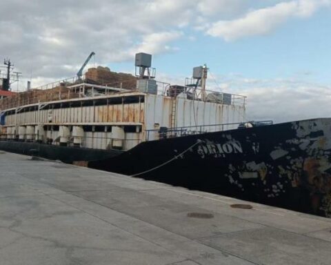 They find 4,500 kilos of cocaine on a boat carrying Colombian cows