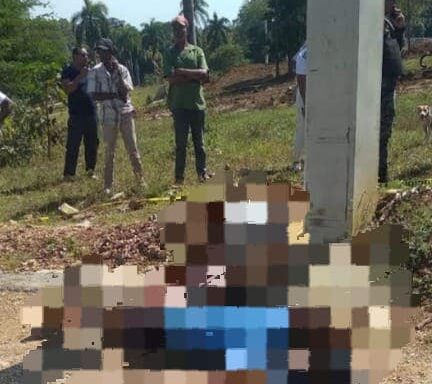 They were identified as Sandy Lorenzo and Sariel Álvarez Lorenzo, aged 19 and 21, the young men whose gagged and bullet-ridden corpses were found this Sunday in the Pedro Brand municipality.