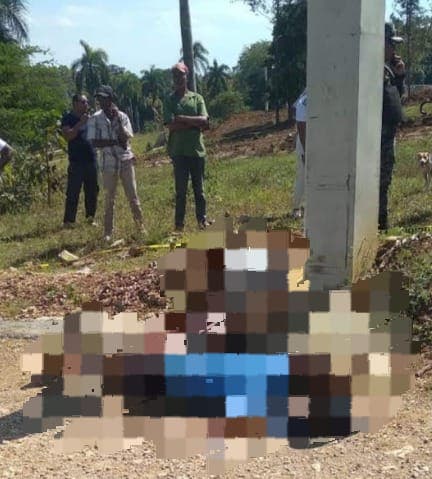 They were identified as Sandy Lorenzo and Sariel Álvarez Lorenzo, aged 19 and 21, the young men whose gagged and bullet-ridden corpses were found this Sunday in the Pedro Brand municipality.