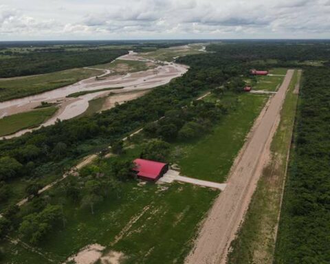 They issue 11 citations for investigation of intervened hangars in Warnes