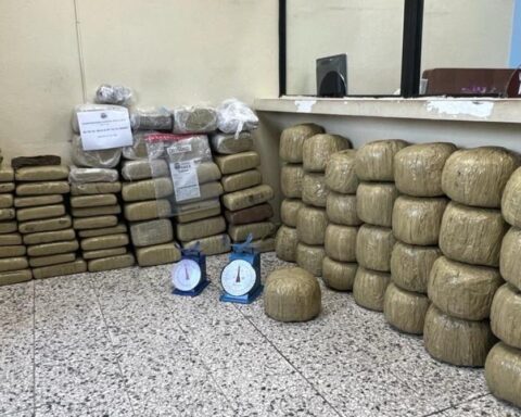 Ocupan en Santiago 573 libras marihuana