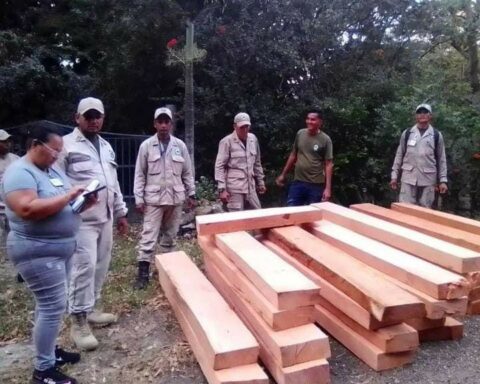 They seize 1,215 cubic meters of illegal wood in Guárico