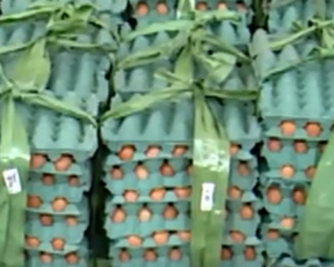 They warn of food crisis due to protests