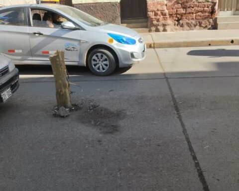 Trunk planted in the middle of the street was a threat to transporters in Huancavelica