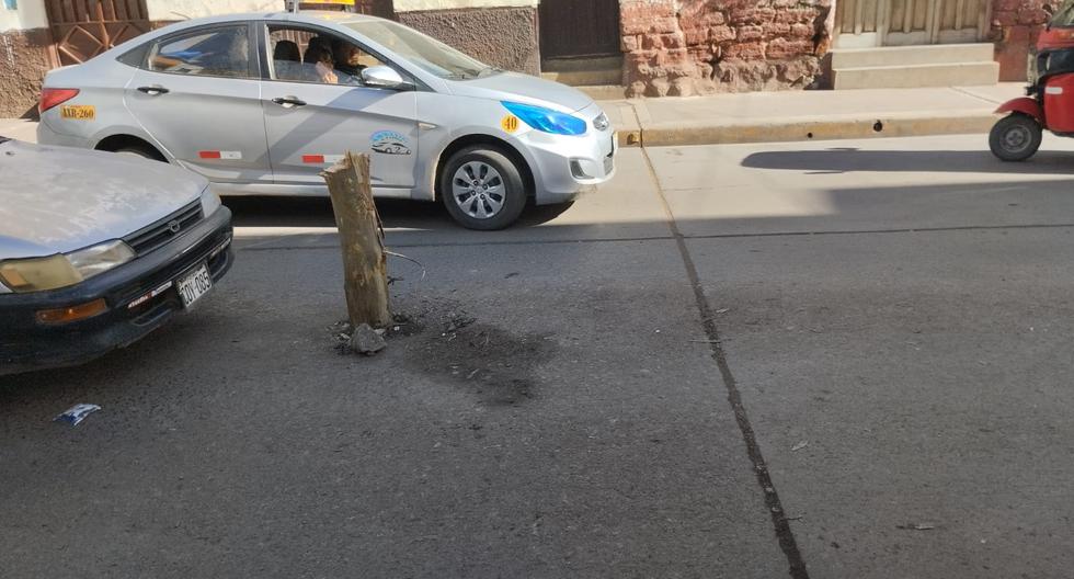 Trunk planted in the middle of the street was a threat to transporters in Huancavelica