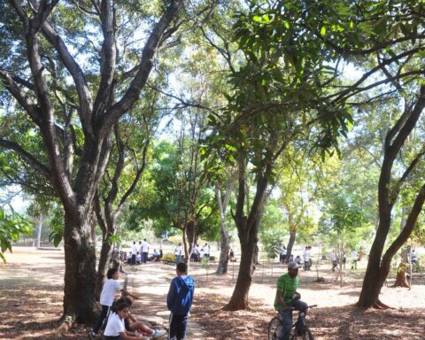 Estado del tiempo: Calor en la tarde y pocas lluvias en las próximas 24 horas