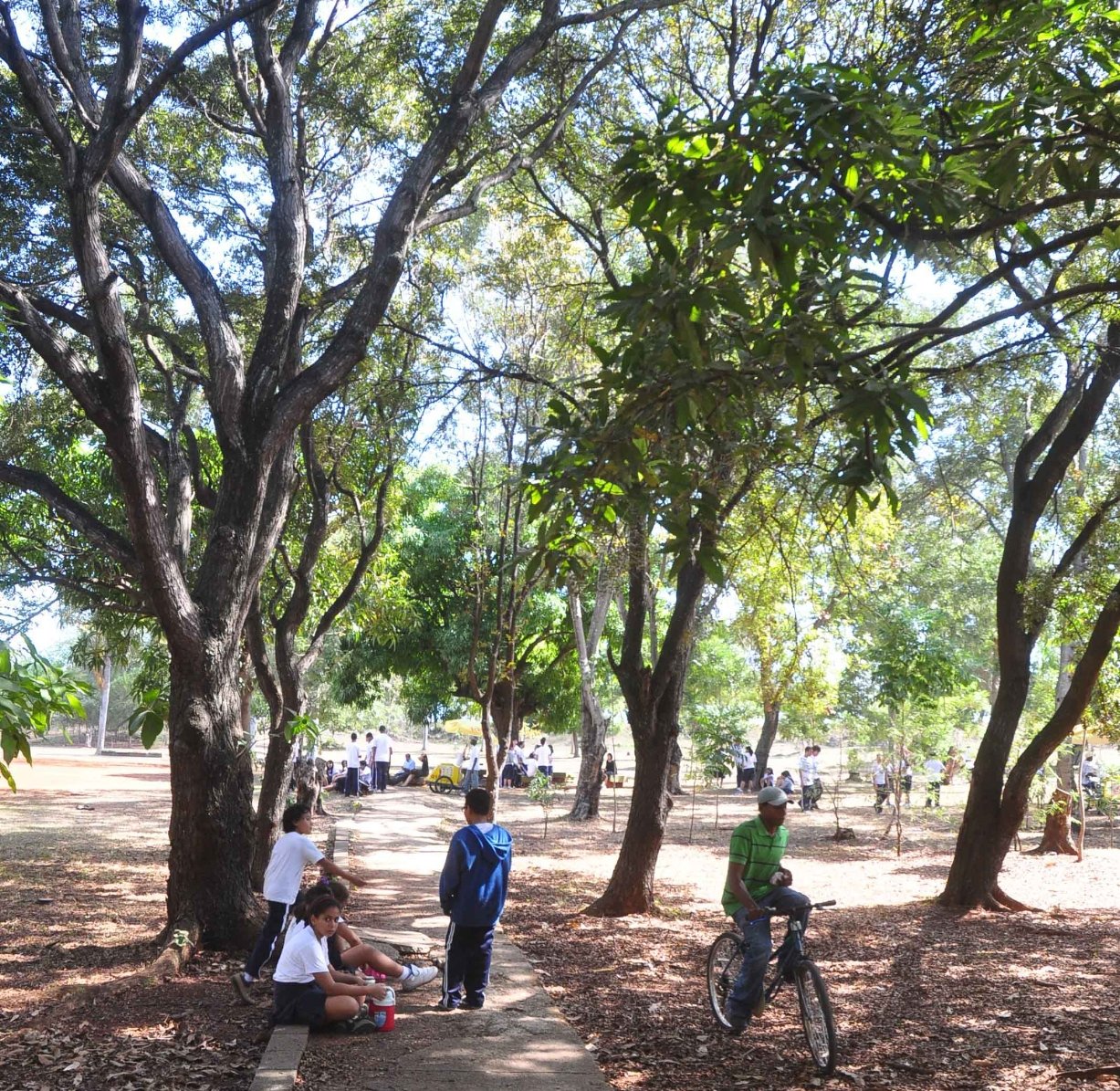 Estado del tiempo: Calor en la tarde y pocas lluvias en las próximas 24 horas