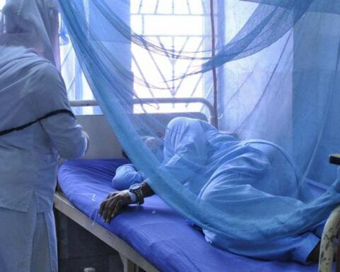 What are neglected tropical diseases and why are they important?