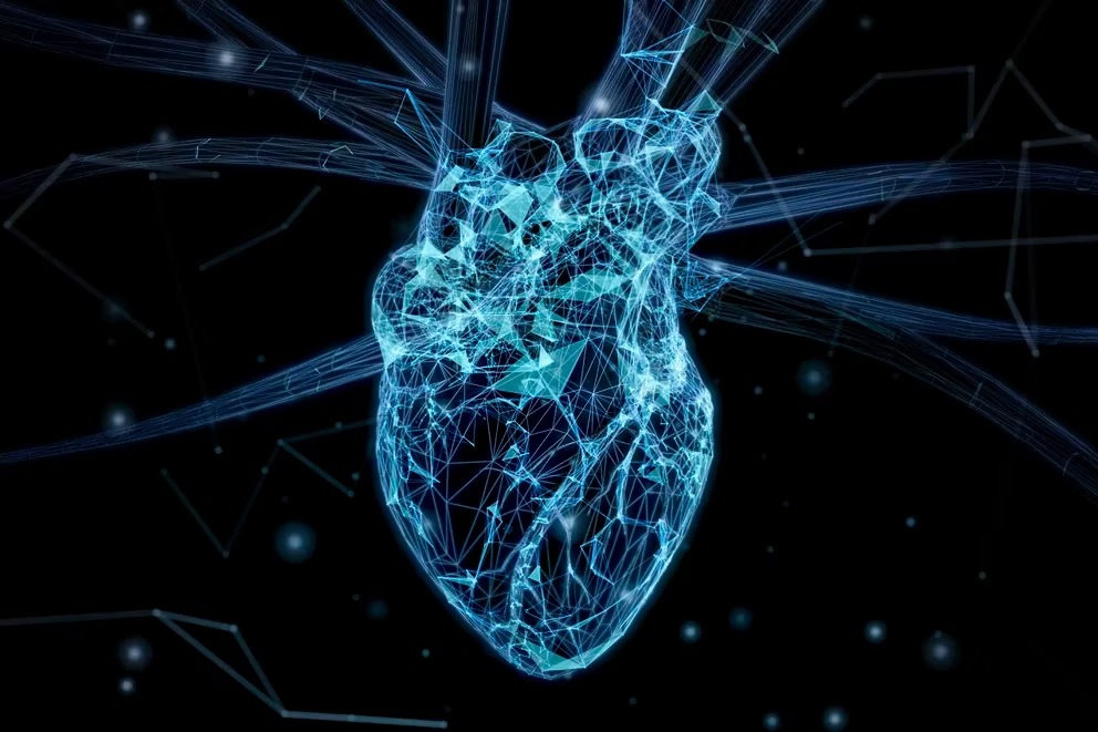 What happens to the heart before the impact of the Omicron variant of the coronavirus