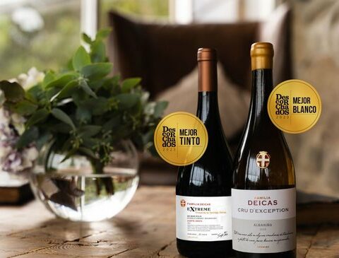 White or red?  Which are the Uruguayan wines chosen in 2023