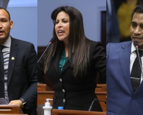 Who are the congressmen who will elect the candidates for Ombudsman?