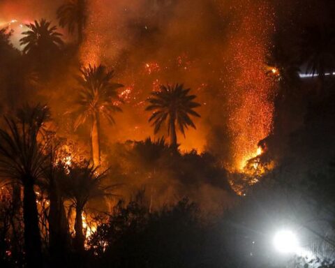 World Economic Forum: Wildfires Cost $50 Billion a Year