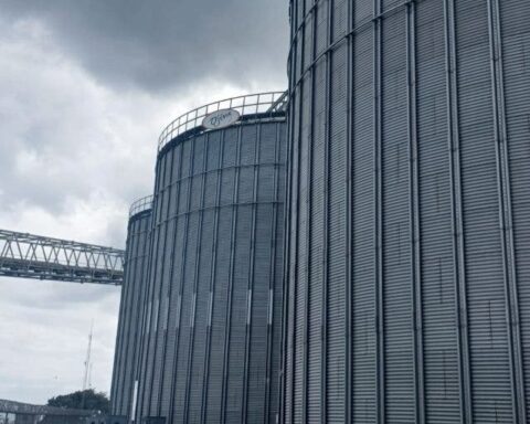 375 tons of soybean meal stolen from the port of Haina