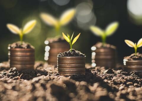 5 things you should evaluate in an investment instrument