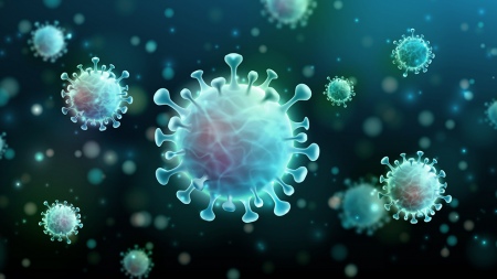 A coronavirus infection protects as much as an anticovid vaccine, a study revealed