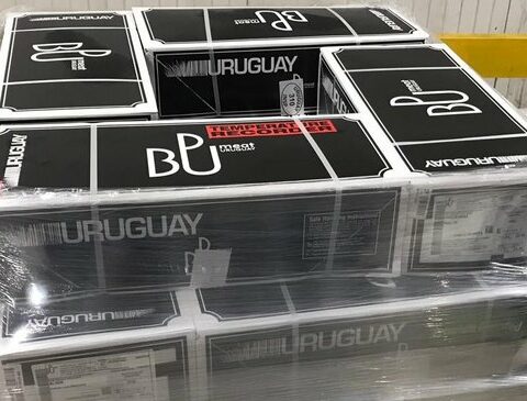 A good one for agriculture: triple rise in export prices