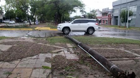 A storm of wind, rain and hail caused trees to fall and roofs to be blown up