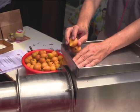 A university student creates a machine that separates the pulp from the achachairú seed and Porongo acquires it for his entrepreneurs