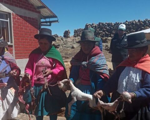 Agrarian bonus does not give hope to peasants or ranchers in Huancavelica