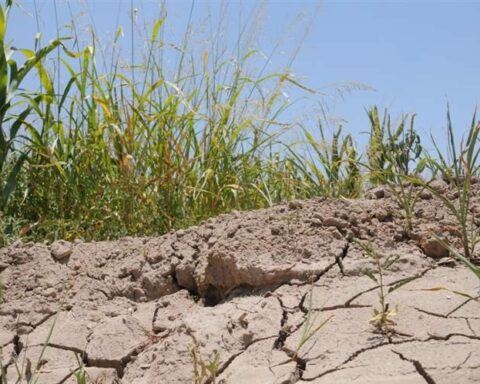 Agreement extended to transfer $50 million to producers due to drought