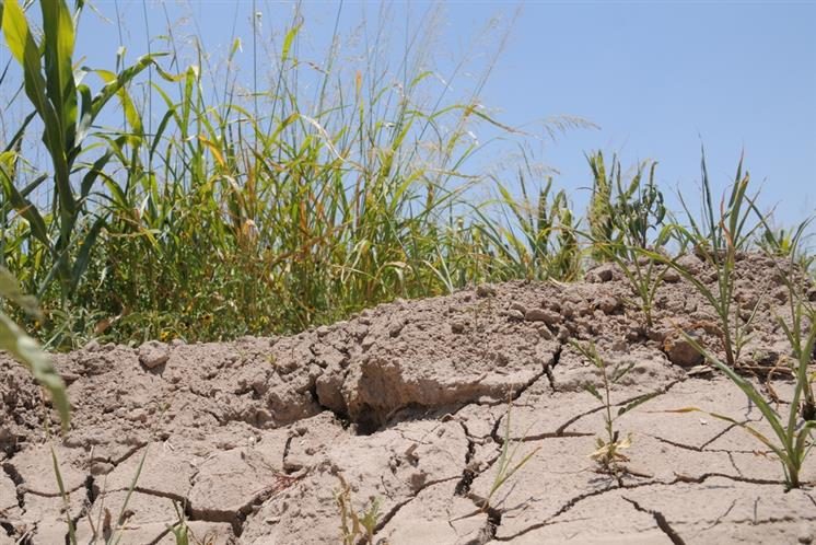 Agreement extended to transfer $50 million to producers due to drought