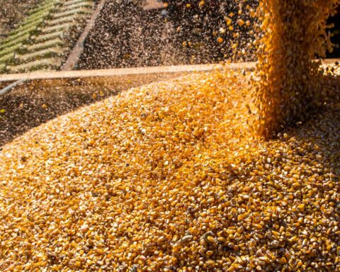 Agribusiness exports break record in January