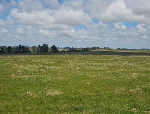 Agricultural emergency: MSMEs in the sector will be able to access the SiGa bonus