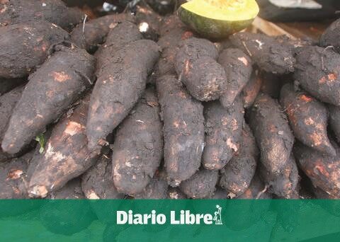 Agricultural products rose more than 20% in one year