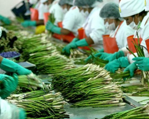 Agro-exporters seek to grow again at more than 20%