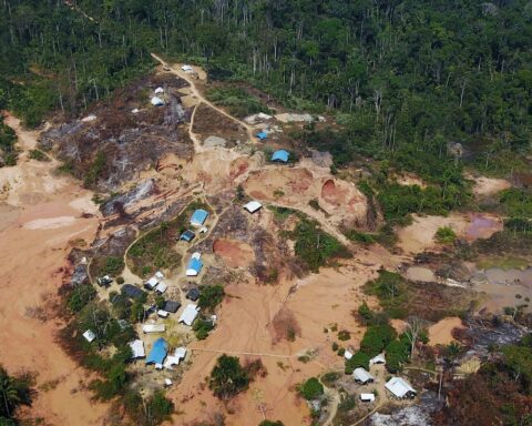 Amazon: illegal mining in indigenous lands rose 1,217% in 35 years