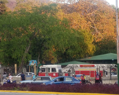 Aragua mourned the death of a child and injuries from a tree fall in a zoo closed since 2015