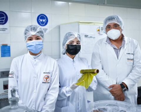 Banana bioplastic a sustainable alternative to replace the use of plastic