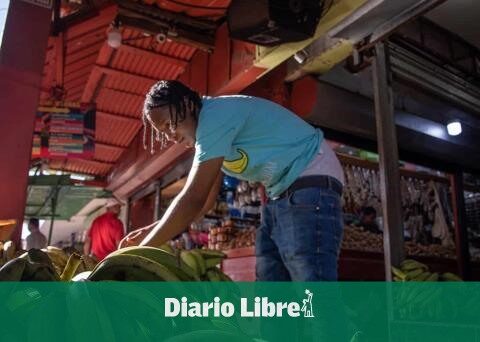 Bananas drop on the farm, but are still expensive for the public