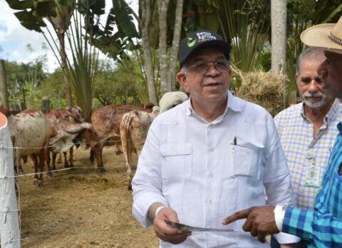 Banco Agrícola financia más de RD$23MM a compra de ganado