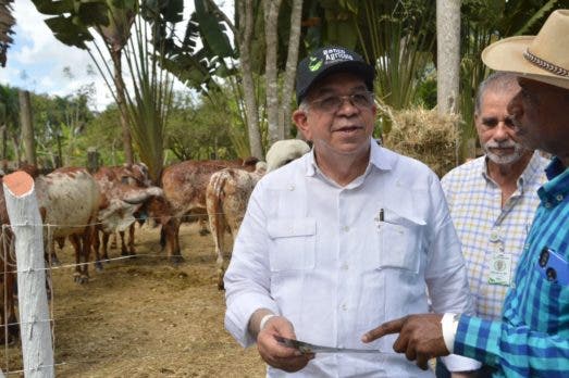 Banco Agrícola financia más de RD$23MM a compra de ganado