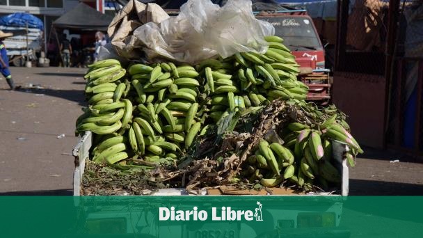 Barahonero and Cibaeño plantain prices