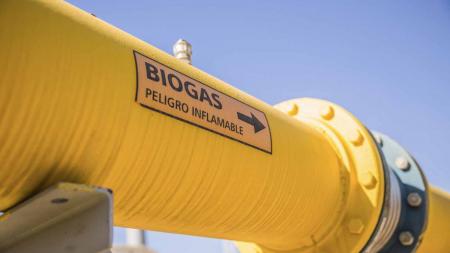 Biogas: a sustainable alternative to meet electricity demand at low cost