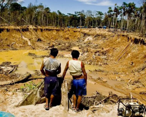 Brazil "will fight at the roots" illegal mining in Roraima with the Air Force, Army and Navy