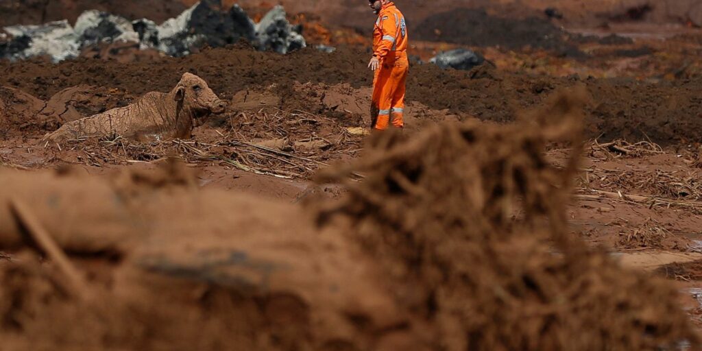 Chamber commission will monitor compensation for Mariana and Brumadinho