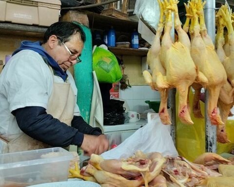 Chicken price reaches S/14 in markets and the price is expected to drop today