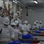 China lowered a change and there was a notorious drop in income from meat exports