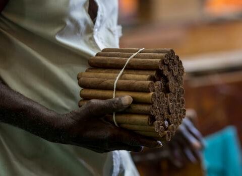 Cigar exports drop in 2022